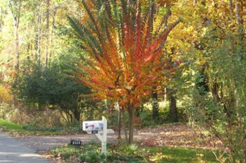 tonbridgeFallColors